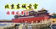 午夜爽歪歪中国北京-东城古宫旅游风景区